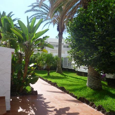 Elana Apartment With Free Wifi Costa Del Silencio Exteriér fotografie