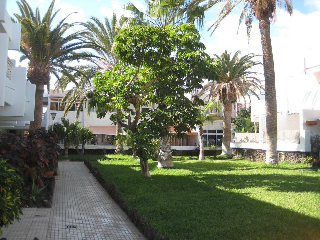 Elana Apartment With Free Wifi Costa Del Silencio Exteriér fotografie